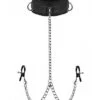 Submission Collar And Nipple Clamp Union -Seksspeeltjes Winkel AD713 1