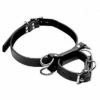 Frog Tie Kneeling Bondage Restrant System β Black 1 Frog Tie Kneeling Bondage Restrant System β Black -Seksspeeltjes Winkel AF224 1