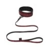 Sweet Anticipation Collar & Lead – Red 2 Sweet Anticipation Collar & Lead – Red -Seksspeeltjes Winkel FS 83667 1
