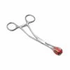 Stainless Steel Forceps -Seksspeeltjes Winkel IS116 1 1
